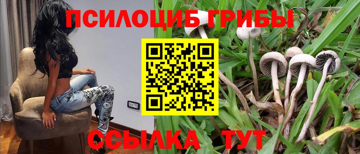 Галлюциногенные грибы MAGIC MUSHROOMS Орехово-Зуево